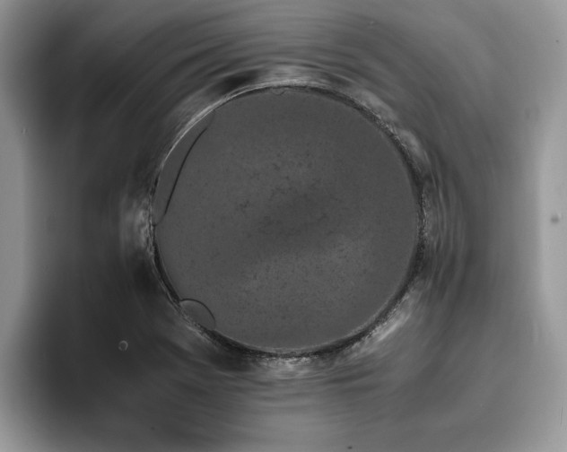 X0000094081369200710191414