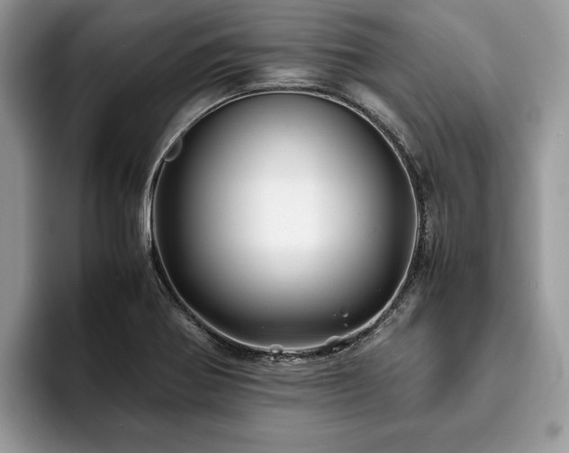 X0000094081370200710191414