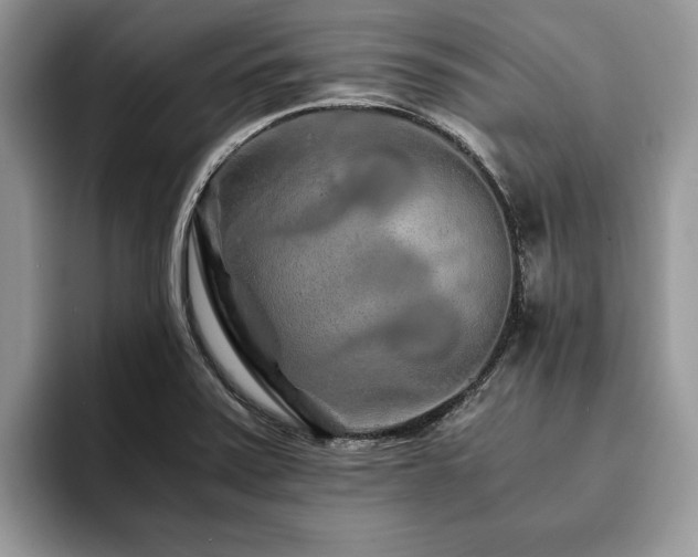 X0000094081371200710191414