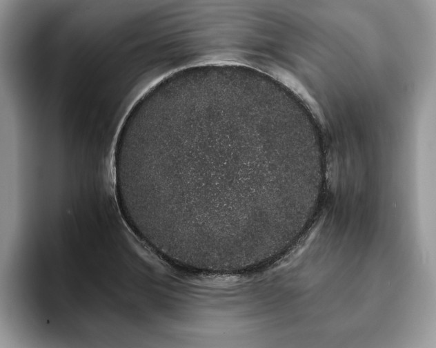 X0000094081372200710191414