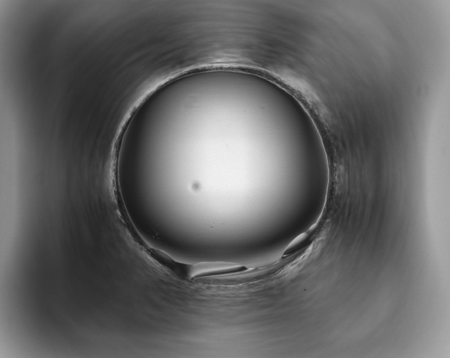 X0000094081374200710191414