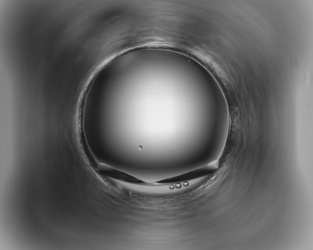 X0000094081375200710191414