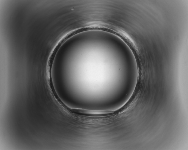 X0000094081376200710191414