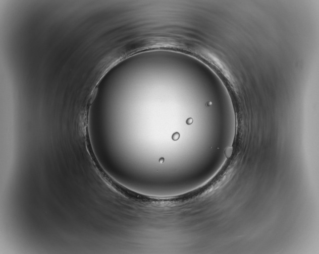 X0000094081377200710191414