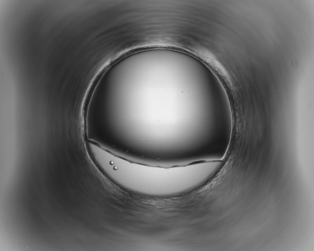 X0000094081380200710191413