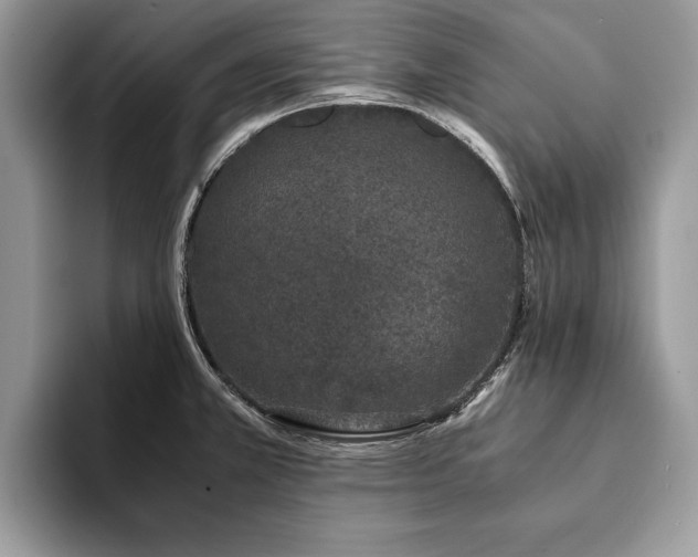 X0000094081381200710191413