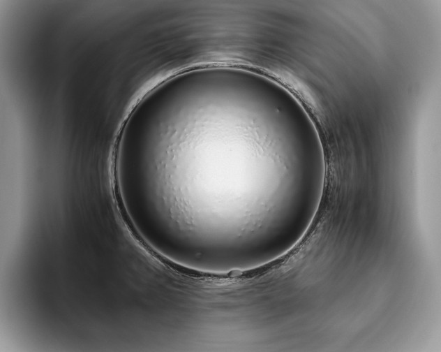 X0000094081382200710191413