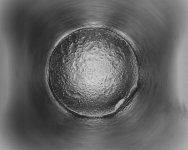 X0000094081383200710191413