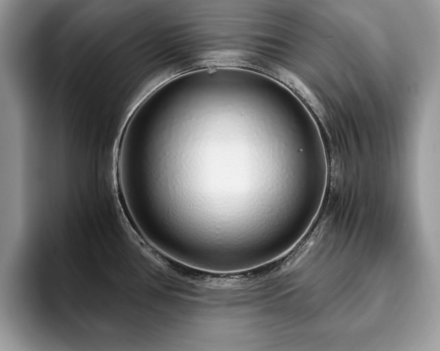 X0000094081386200710191413