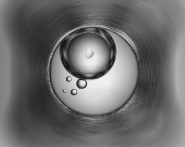 X0000094081388200710191413