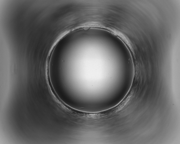 X0000094081390200710191413