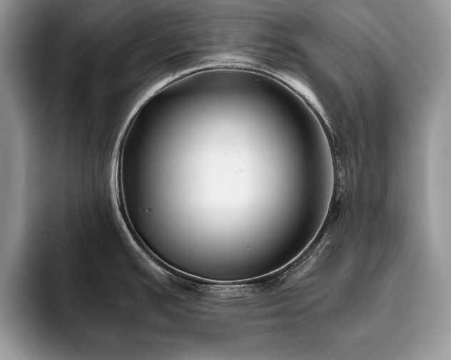 X0000094081391200710191413