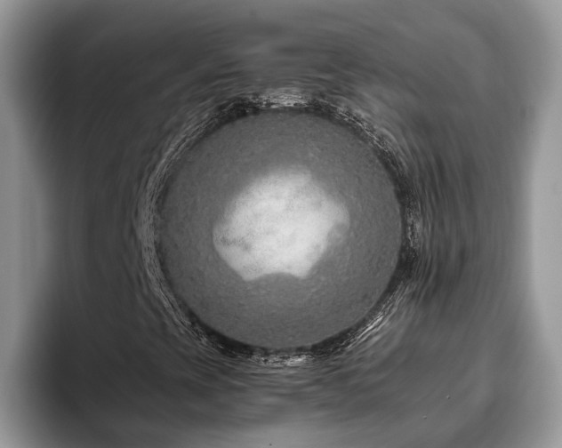 X0000094081393200710191413