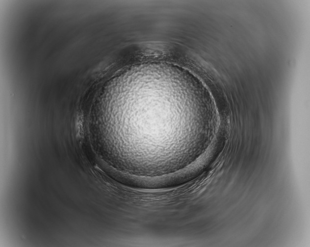 X0000094081394200710191413