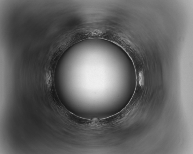 X0000094081395200710191413