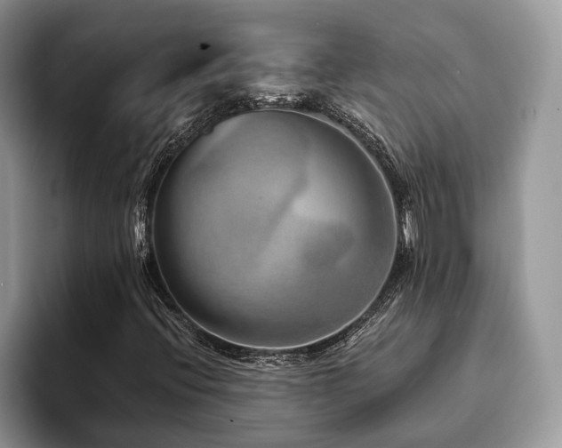 X0000094081396200710191413