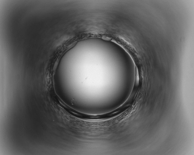 X0000094081398200710191413