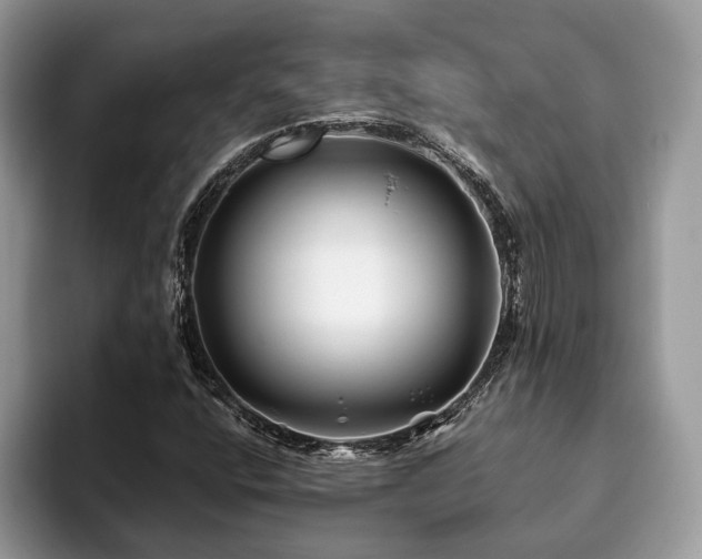 X0000094081400200710191413