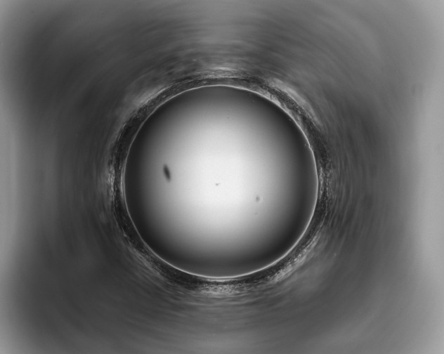 X0000094081402200710191413