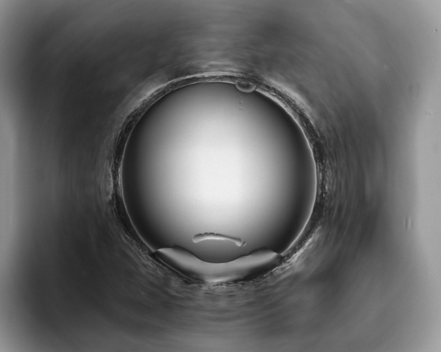 X0000094081407200710191413