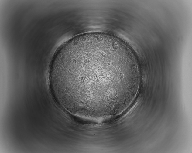 X0000094081411200710191413