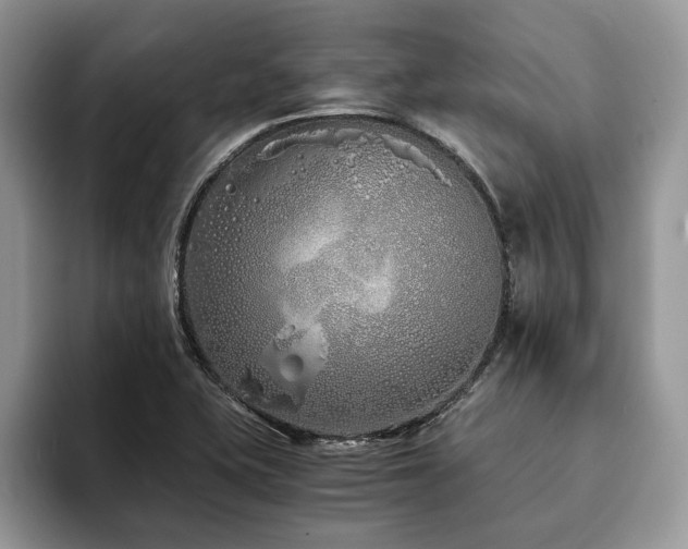 X0000094081415200710191413