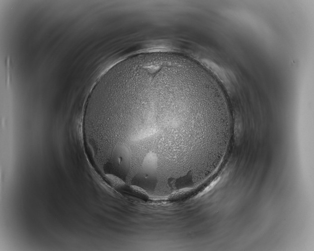 X0000094081417200710191413