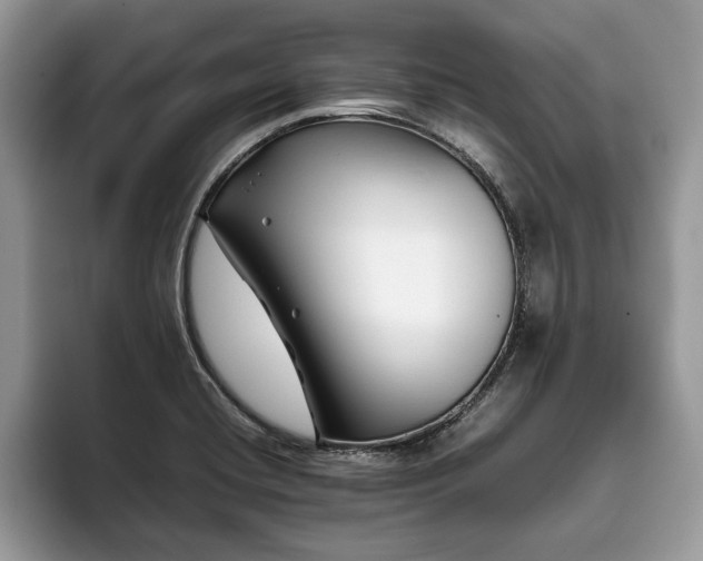 X0000094081420200710191413