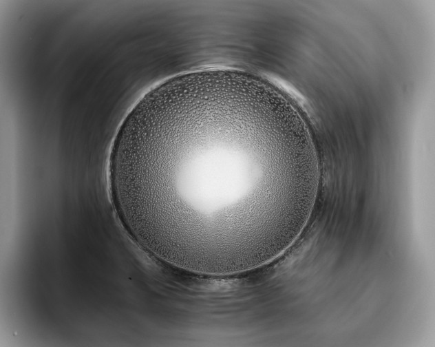 X0000094081423200710191413