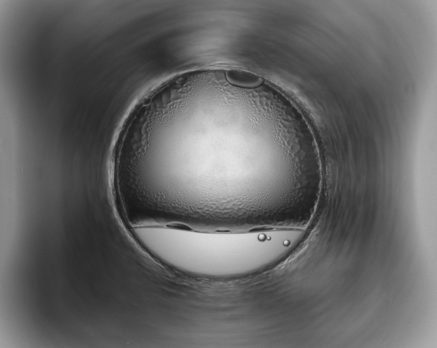 X0000094081424200710191413