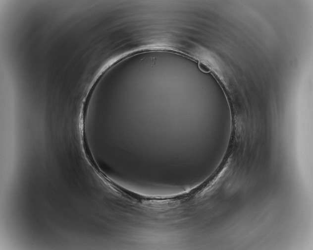 X0000094081428200710191413