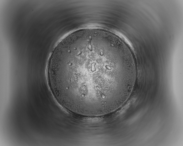 X0000094081429200710191413
