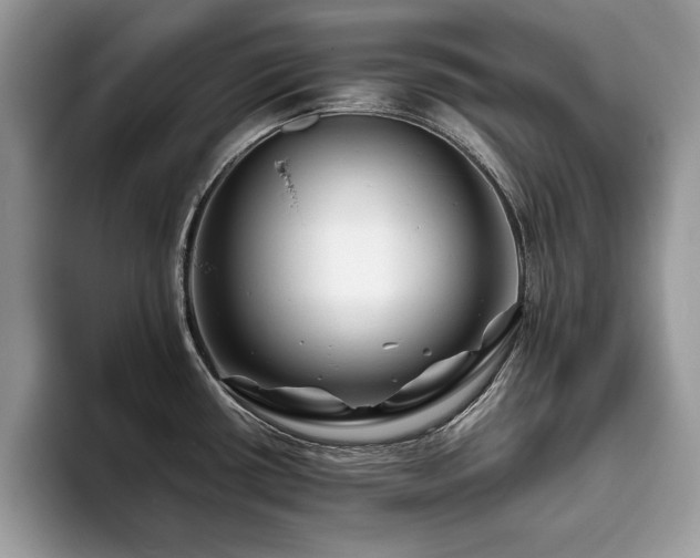 X0000094081434200710191413