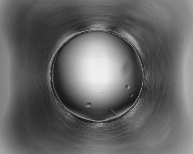 X0000094081435200710191413