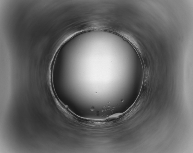 X0000094081439200710191413