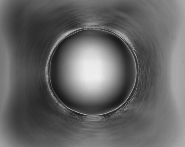 X0000094081440200710191413