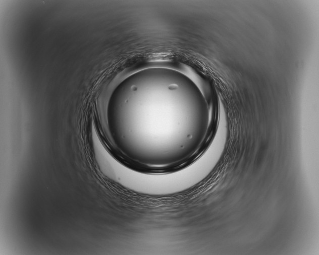 X0000094081441200710191413