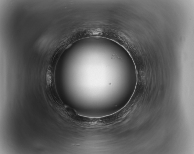 X0000094081442200710191413