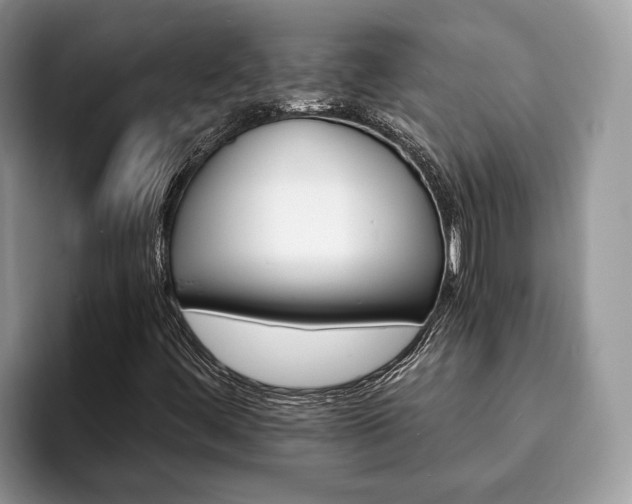 X0000094081444200710191413