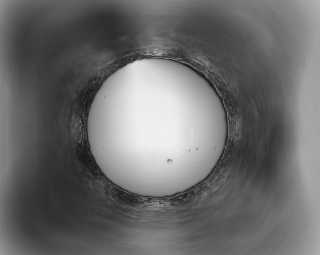 X0000094081446200710191413