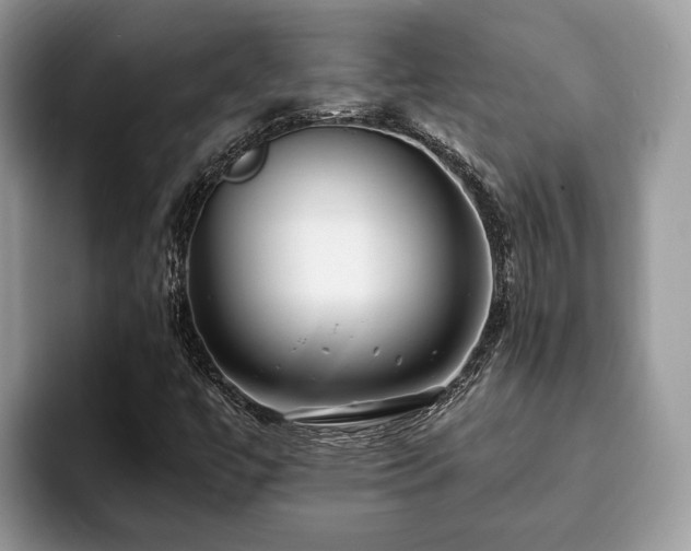 X0000094081447200710191413