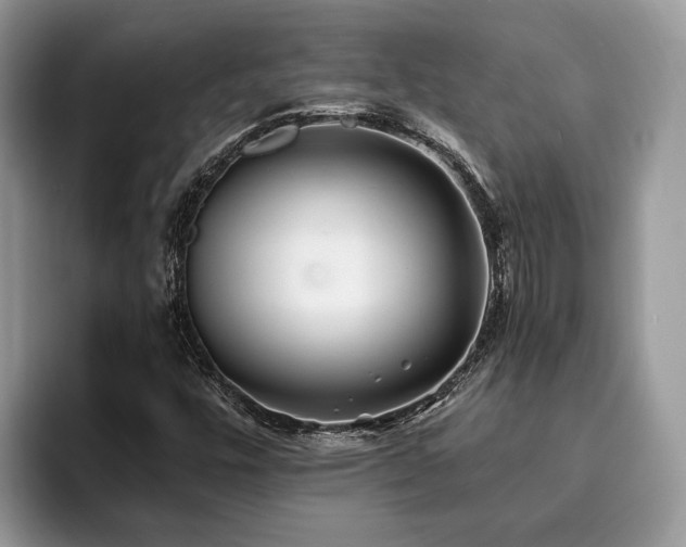 X0000094081448200710191412