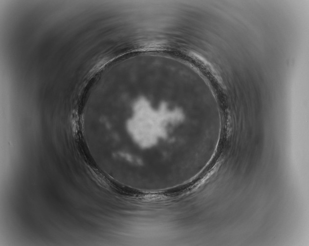 X0000094081449200710191412