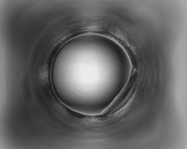 X0000094081450200710191412