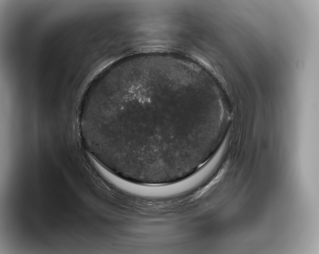 X0000094081453200710191412