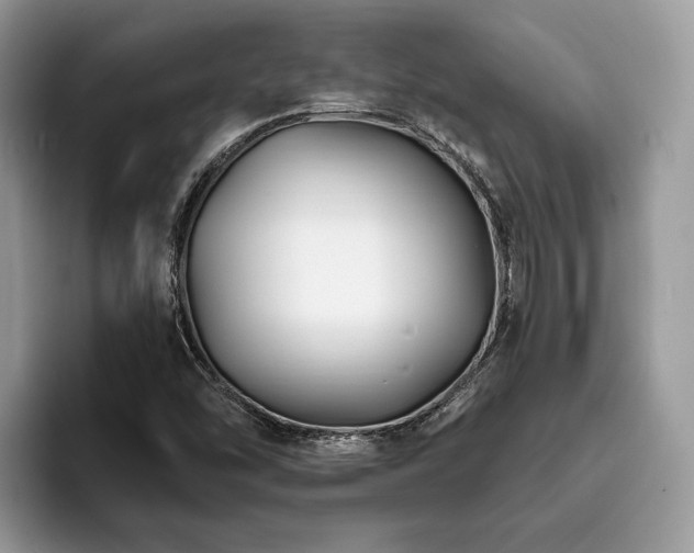 X0000094081454200710191412