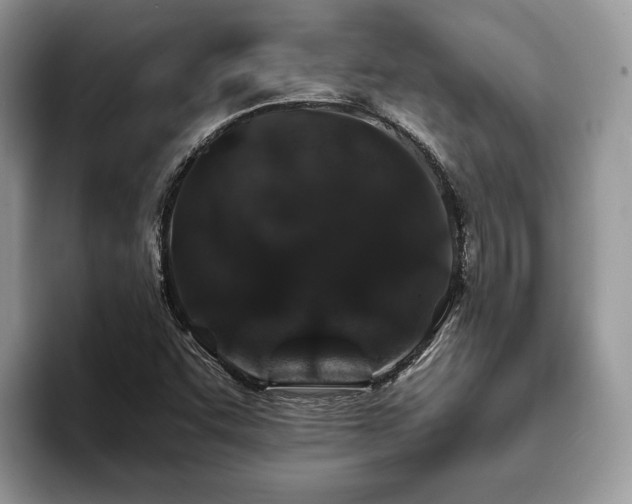 X0000094081455200710191412