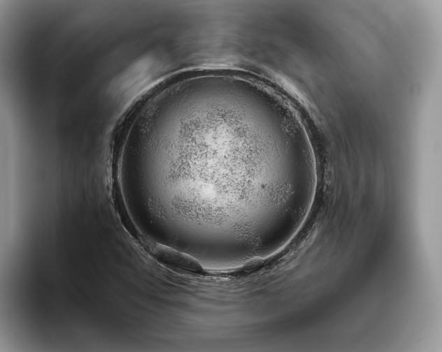 X0000094081456200710191412