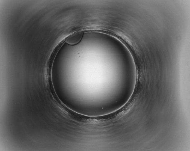 X0000094081458200710191412