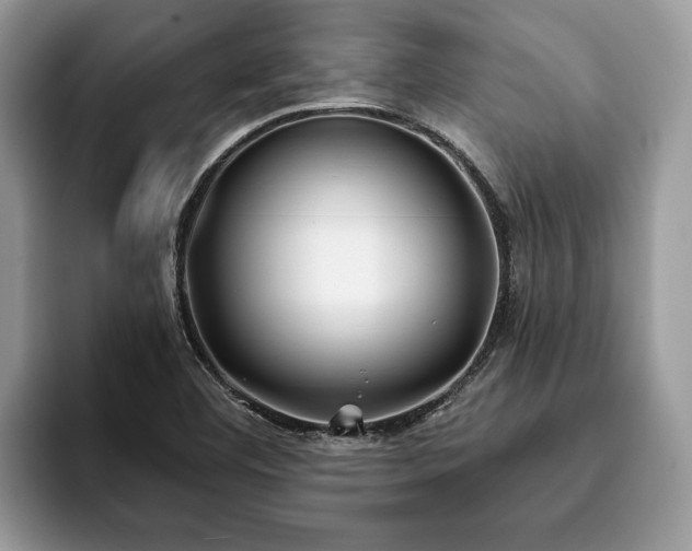 X0000094081460200710191412